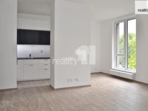 Pronájem bytu 2+kk, Děčín - Děčín I-Děčín, Karla Čapka, 50 m2