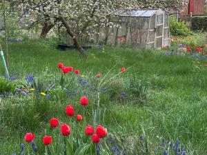 Prodej pozemku pro bydlení, Říčany, Na Ladech, 929 m2