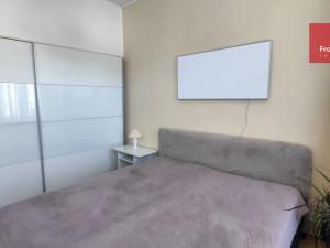 Pronájem bytu 1+1, Teplice, Jankovcova, 40 m2