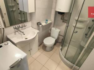 Pronájem bytu 1+1, Teplice, Jankovcova, 40 m2