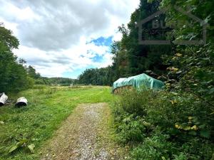 Prodej zemědělského objektu, Tachov - Světce, 240 m2