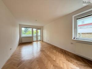 Pronájem bytu 2+1, Teplice, Třebízského, 65 m2