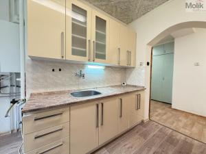 Pronájem bytu 2+1, Teplice, Třebízského, 65 m2