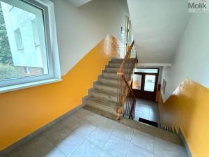Pronájem bytu 2+1, Teplice, Třebízského, 65 m2
