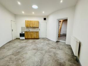 Pronájem bytu 2+kk, Liberec, Zámecký vrch, 54 m2