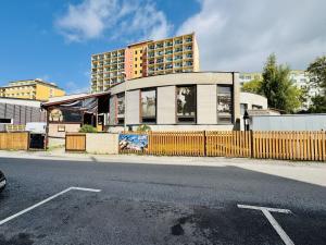 Pronájem bytu 2+kk, Liberec, Zámecký vrch, 54 m2