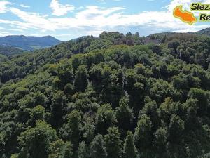 Prodej pozemku pro bydlení, Hukvaldy, 1662 m2