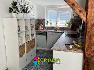 Pronájem bytu 2+kk, České Budějovice, V. Špály, 43 m2