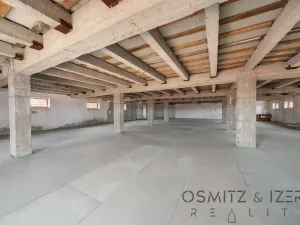 Prodej skladu, Nová Ves, 3671 m2