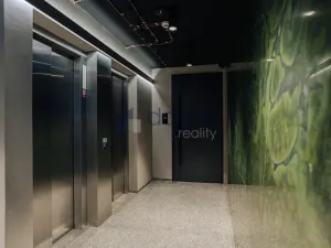Pronájem kanceláře, Praha, Václavské náměstí, 115 m2