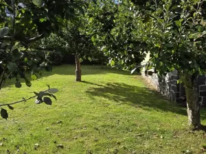 Prodej rodinného domu, Lipová-lázně - Bobrovník, 55 m2