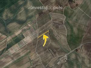Prodej pole, Čejkovice, 1956 m2