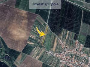 Prodej pole, Šakvice, 3827 m2