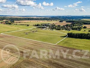 Prodej zemědělské usedlosti, Březnice, 300 m2