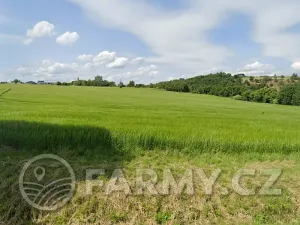 Prodej pole, Vyškov, 11396 m2
