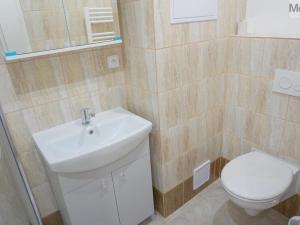 Pronájem bytu 2+1, Litvínov - Horní Litvínov, Vinohradská, 55 m2