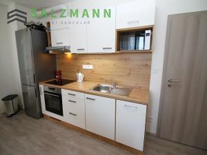 Pronájem bytu 3+kk, Plzeň, V Zahrádkách, 65 m2