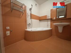 Pronájem bytu 2+1, České Budějovice - České Budějovice 3, Jírovcova, 54 m2
