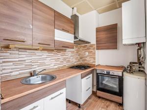 Prodej bytu 2+kk, Ústí nad Labem - Klíše, Palachova, 45 m2