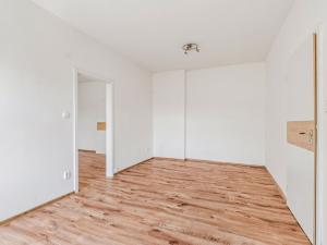 Prodej bytu 2+kk, Ústí nad Labem - Klíše, Palachova, 45 m2