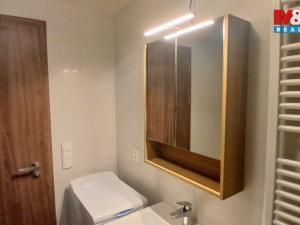 Pronájem bytu 2+kk, Praha - Žižkov, Hartigova, 47 m2
