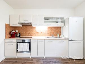 Pronájem bytu 1+kk, Praha - Vinohrady, Mánesova, 63 m2