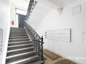 Pronájem bytu 1+kk, Praha - Vinohrady, Mánesova, 63 m2