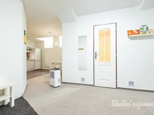 Pronájem bytu 1+kk, Praha - Vinohrady, Mánesova, 63 m2