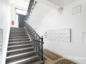 Pronájem bytu 1+kk, Praha - Vinohrady, Mánesova, 63 m2