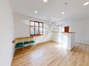 Pronájem bytu 3+kk, Město Touškov, Čemínská, 57 m2