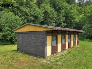 Prodej chalupy, Vysoká Srbská, 900 m2