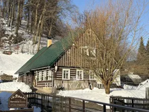 Prodej chalupy, Dolní Dvůr, 270 m2