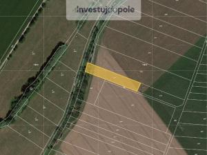 Prodej pole, Stará Ves nad Ondřejnicí - Košatka, 3382 m2