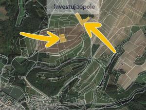 Prodej louky, Radnice, 5786 m2