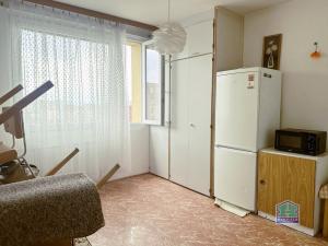 Prodej bytu 1+1, Plzeň - Bolevec, Žlutická, 39 m2