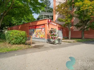 Prodej obchodního prostoru, České Budějovice, Lidická tř., 211 m2