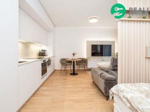 Pronájem bytu 1+kk, Praha - Hodkovičky, Šenácká, 37 m2