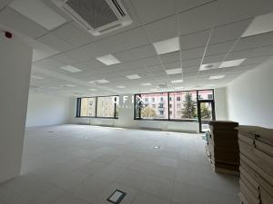 Pronájem kanceláře, Brno, Botanická, 613 m2