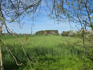 Prodej pozemku pro bydlení, Chářovice, Chářovice, 1600 m2