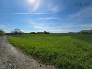Prodej pozemku pro bydlení, Chářovice, Chářovice, 1600 m2