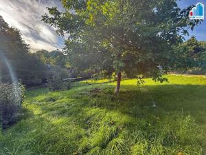 Prodej rodinného domu, Bělá nad Radbuzou - Újezd Svatého Kříže, 226 m2