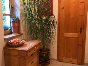 Prodej rodinného domu, Bělá nad Radbuzou - Újezd Svatého Kříže, 226 m2