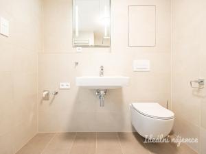 Pronájem bytu 1+kk, Praha - Kamýk, Zimova, 34 m2