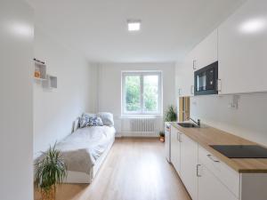 Prodej bytu 1+kk, Praha - Michle, Jihlavská, 19 m2