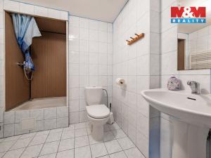 Prodej ubytování, Loučná pod Klínovcem - Háj, 285 m2