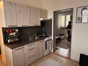 Pronájem bytu 1+1, Opava, Rybářská, 32 m2