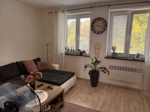 Pronájem bytu 1+1, Opava, Rybářská, 32 m2