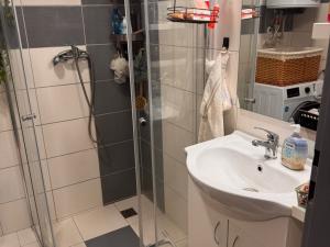 Pronájem bytu 1+1, Opava, Rybářská, 32 m2
