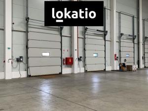 Pronájem skladu, Nýřany, U Mexika, 5442 m2