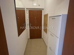 Pronájem bytu 2+1, České Budějovice - České Budějovice 5, Dělnická, 46 m2